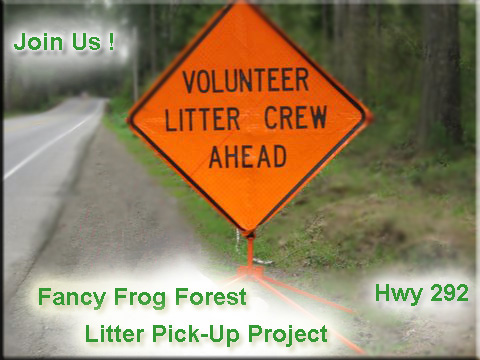 Litter Pick up Project